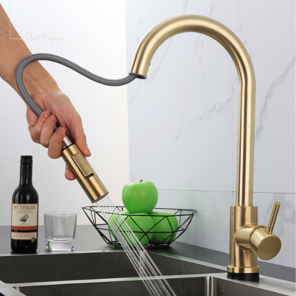 Dubai Gourmet Kitchen Tap - Plaemp