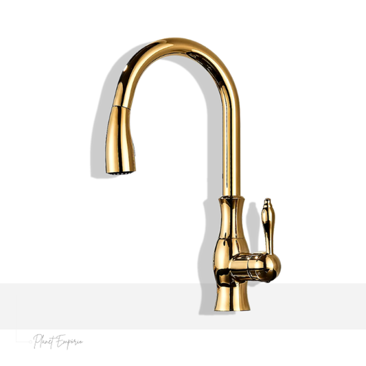 Berlin Pullout Kitchen Tap - Plaemp