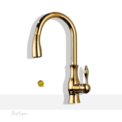 Berlin Pullout Kitchen Tap - Plaemp