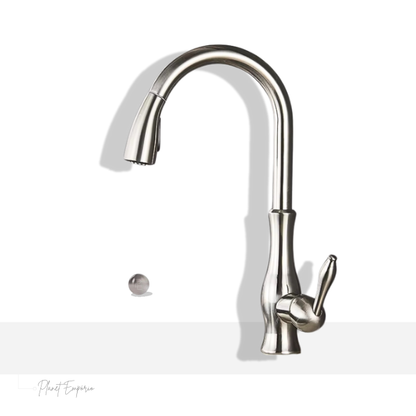 Berlin Pullout Kitchen Tap - Plaemp