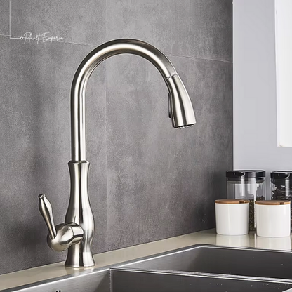 Berlin Pullout Kitchen Tap - Plaemp