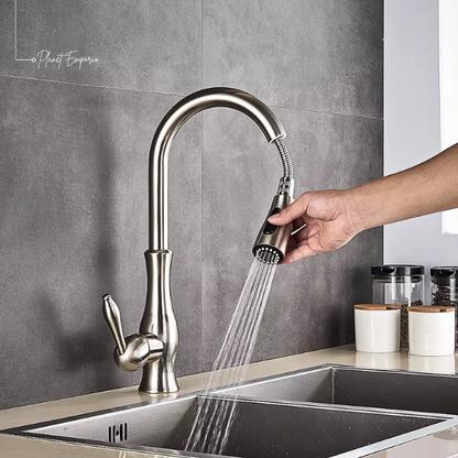 Berlin Pullout Kitchen Tap - Plaemp