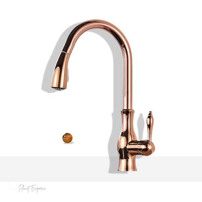 Berlin Pullout Kitchen Tap - Plaemp