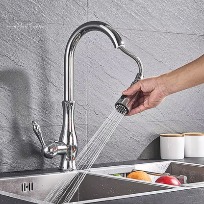 Berlin Pullout Kitchen Tap - Plaemp