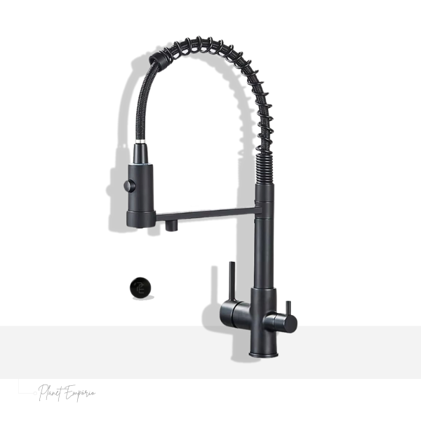 Berlin Pulldown Kitchen Tap with Filter - Plaemp