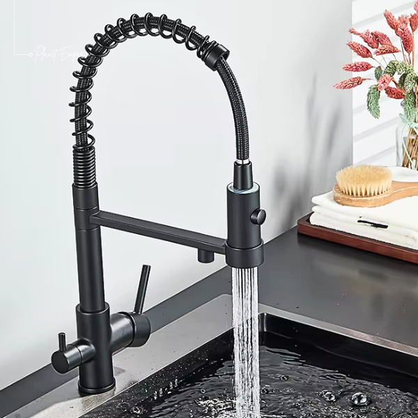 Berlin Pulldown Kitchen Tap with Filter - Plaemp