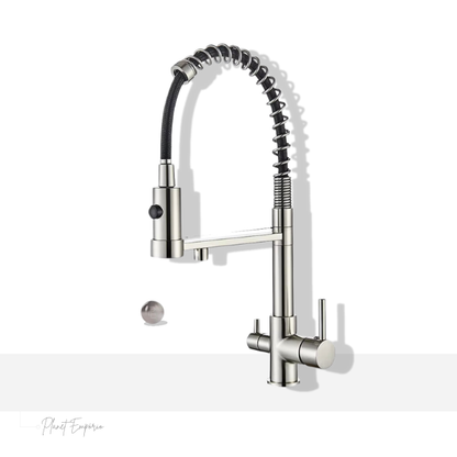 Berlin Pulldown Kitchen Tap with Filter - Plaemp