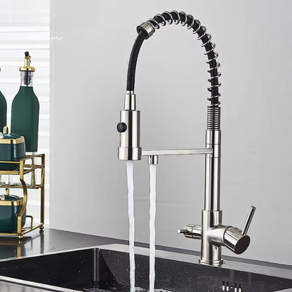 Berlin Pulldown Kitchen Tap with Filter - Plaemp