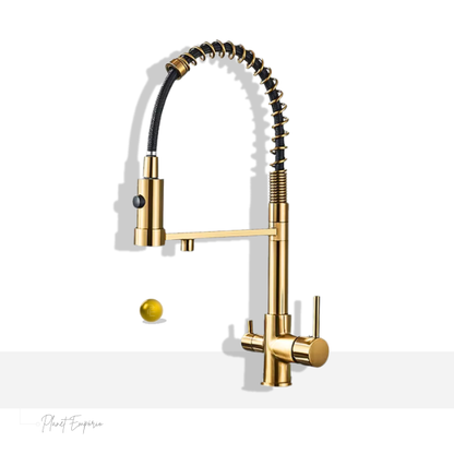 Berlin Pulldown Kitchen Tap with Filter - Plaemp