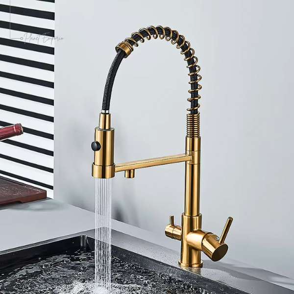 Berlin Pulldown Kitchen Tap with Filter - Plaemp