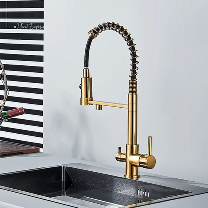 Berlin Pulldown Kitchen Tap with Filter - Plaemp