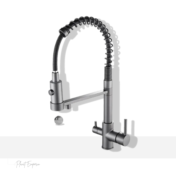 Berlin Pulldown Kitchen Tap with Filter - Plaemp