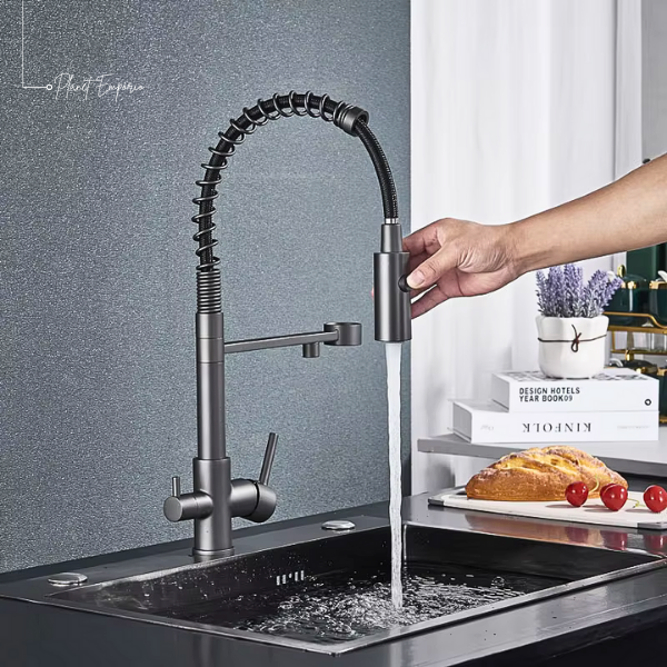 Berlin Pulldown Kitchen Tap with Filter - Plaemp