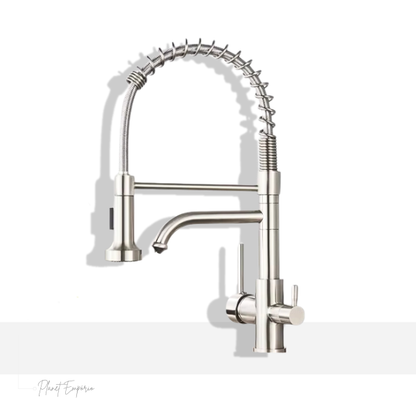 Toronto Pulldown Kitchen Tap with Filter - Plaemp