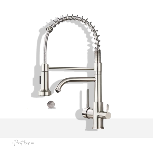 Toronto Pulldown Kitchen Tap with Filter - Plaemp