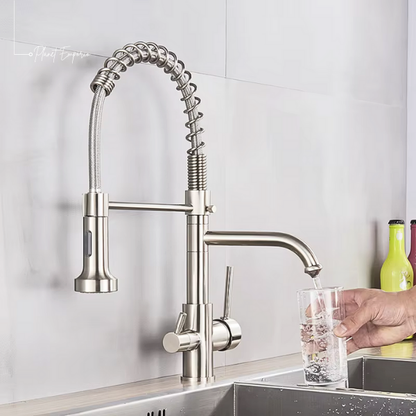 Toronto Pulldown Kitchen Tap with Filter - Plaemp