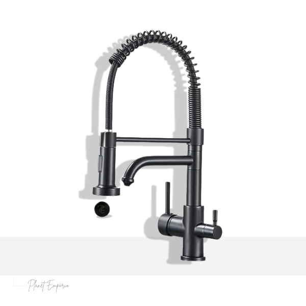 Toronto Pulldown Kitchen Tap with Filter - Plaemp