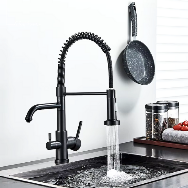 Toronto Pulldown Kitchen Tap with Filter - Plaemp