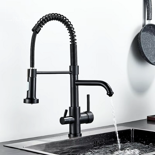 Toronto Pulldown Kitchen Tap with Filter - Plaemp