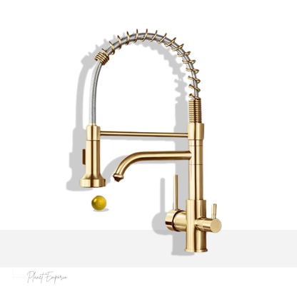 Toronto Pulldown Kitchen Tap with Filter - Plaemp