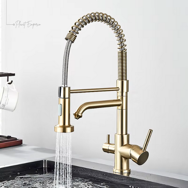 Toronto Pulldown Kitchen Tap with Filter - Plaemp