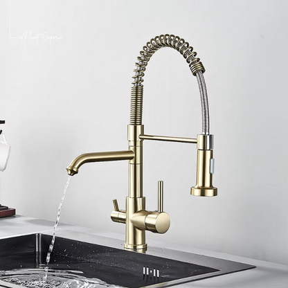 Toronto Pulldown Kitchen Tap with Filter - Plaemp