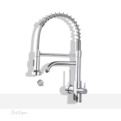 Toronto Pulldown Kitchen Tap with Filter - Plaemp