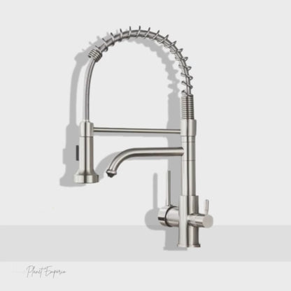 Toronto Pulldown Kitchen Tap with Filter - Plaemp